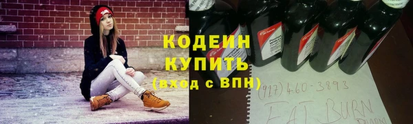 прущий лед Богданович