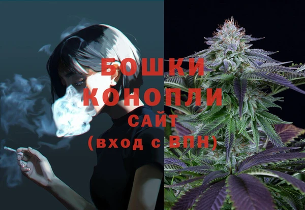 mdpv Белокуриха