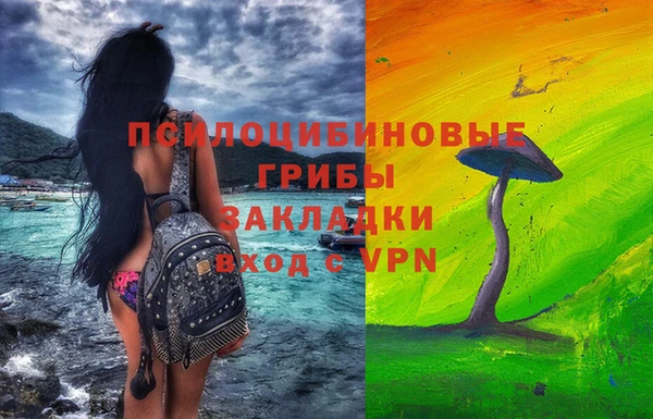 mdpv Белокуриха