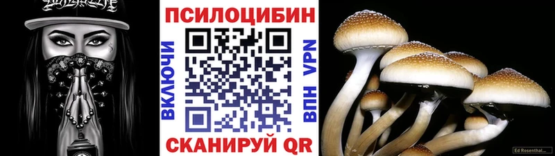 Купить закладки  Юрга  Галлюциногенные грибы Cubensis 