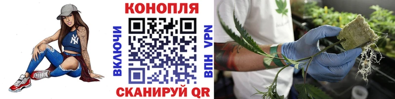 Бошки Шишки Ganja  Купить  Юрга 